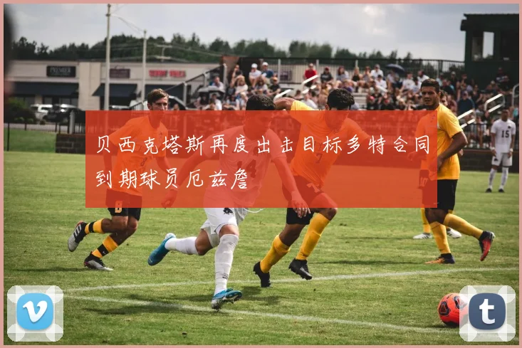 贝西克塔斯再度出击目标多特合同到期球员厄兹詹